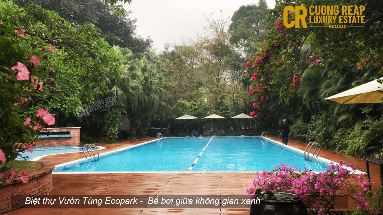 Bể bơi tiện ích Biệt thự Vườn Tùng Ecopark