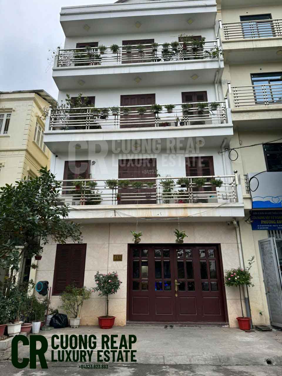 Main Image